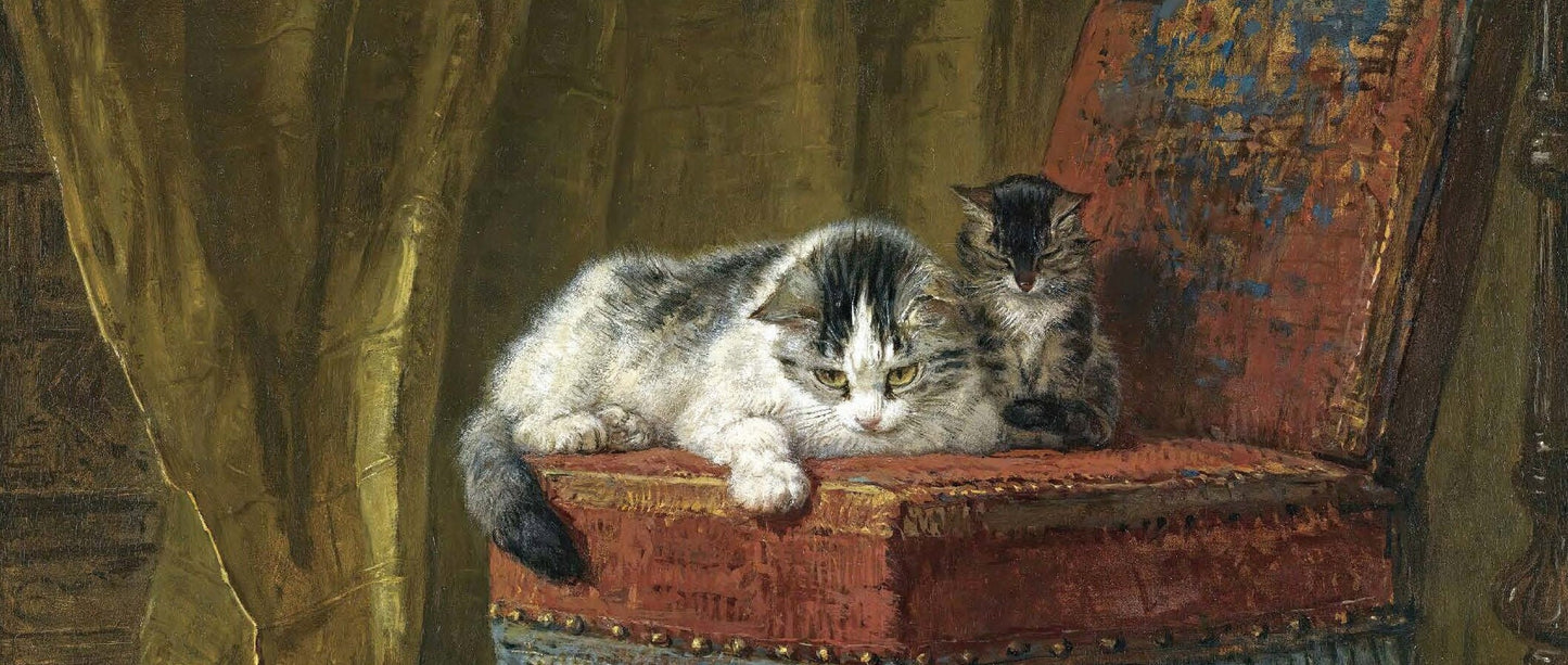 Yellow Kitten and Cat - Decoupage Paper for Furniture - Rice Paper - High Quality Decoupage [Pet Series]