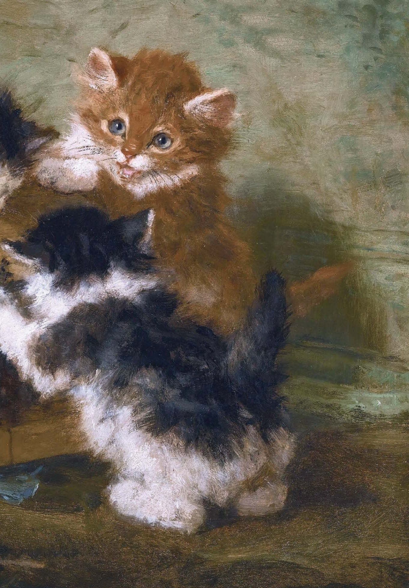 Kittens - Decoupage Paper for Furniture - Rice Paper - Large Decoupage [Pet Series]