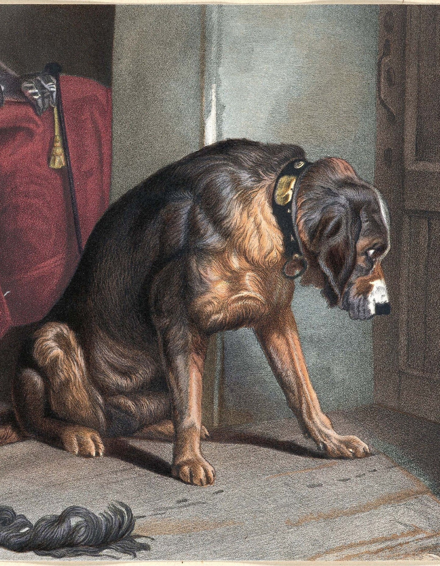 Dog - Decoupage Paper for Furniture - Rice Paper - Large Decoupage [Pet Series]