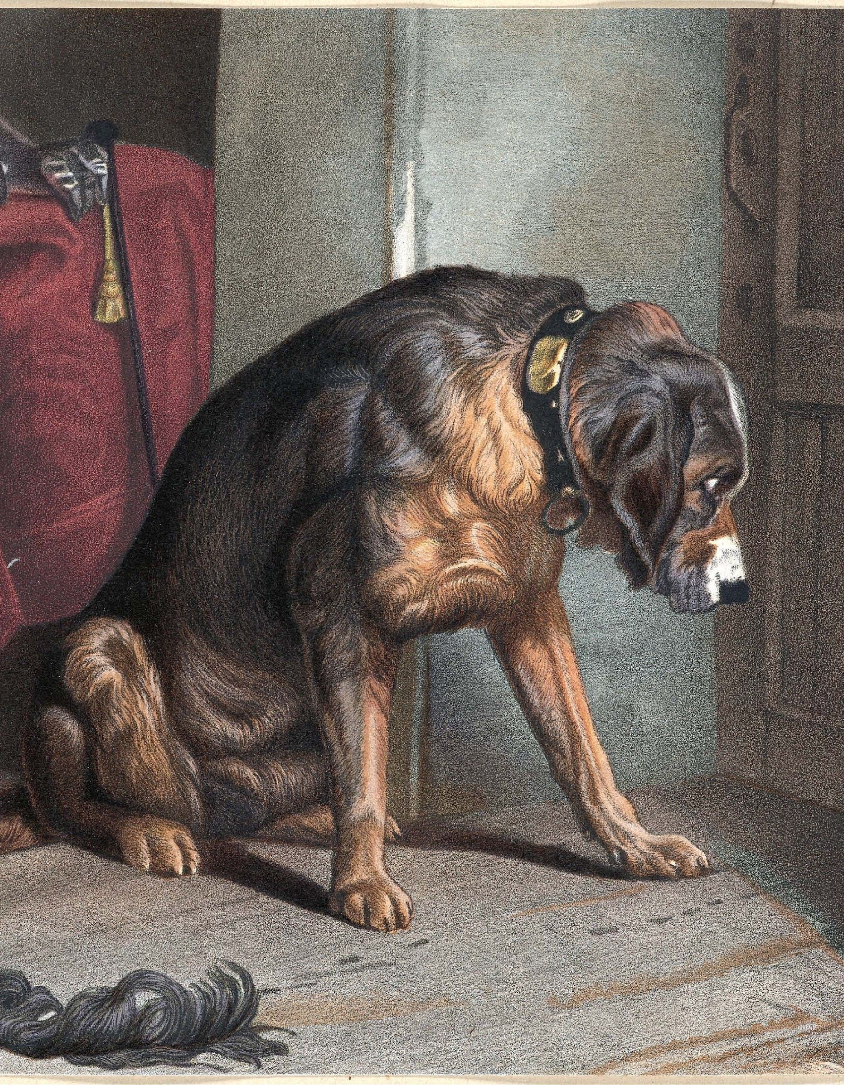 Dog - Decoupage Paper for Furniture - Rice Paper - Large Decoupage [Pet Series]