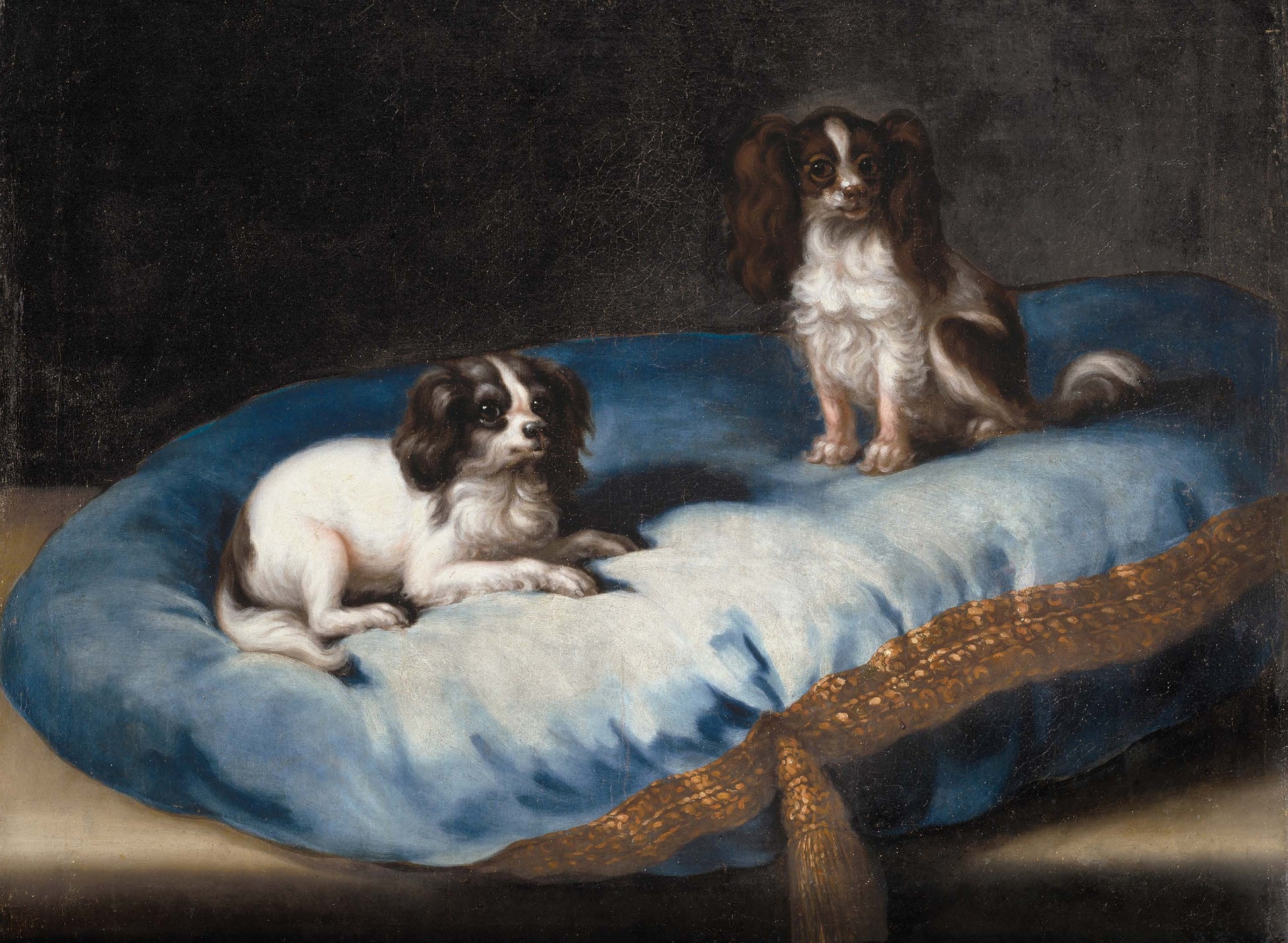 Dogs - Decoupage Paper for Furniture - Rice Paper - Large Decoupage [Pet Series]