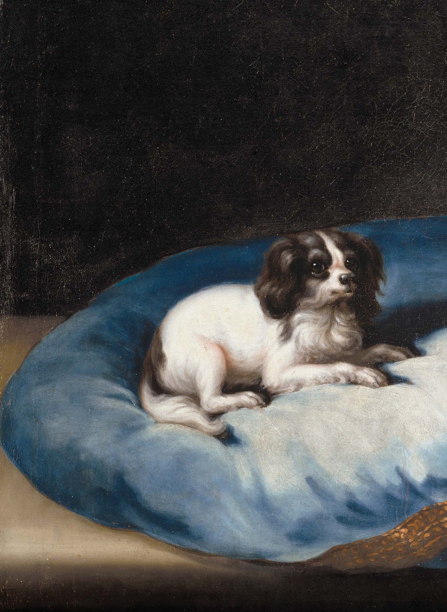 Dogs - Decoupage Paper for Furniture - Rice Paper - Large Decoupage [Pet Series]