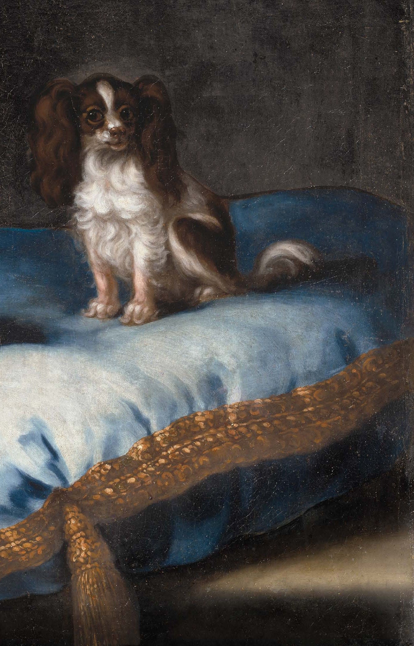 Dogs - Decoupage Paper for Furniture - Rice Paper - Large Decoupage [Pet Series]
