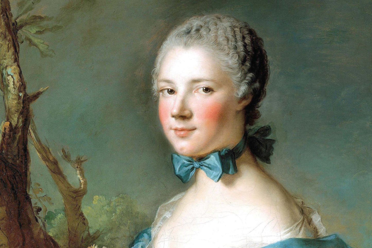 Marquise Perrin de Cypierre - Portrait of a Woman - Large Decoupage Paper for Furniture - Vintage Decoupage - Rice Paper