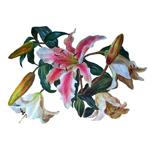 Lily Floral Decoupage Paper - Furniture Craft Rice Paper