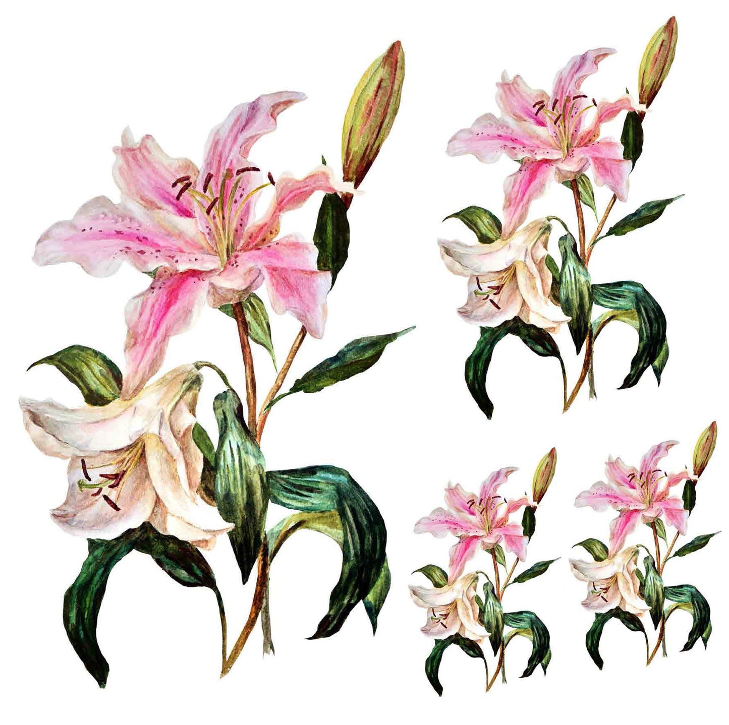 Lily Floral Decoupage Paper - Large Furniture Rice Paper