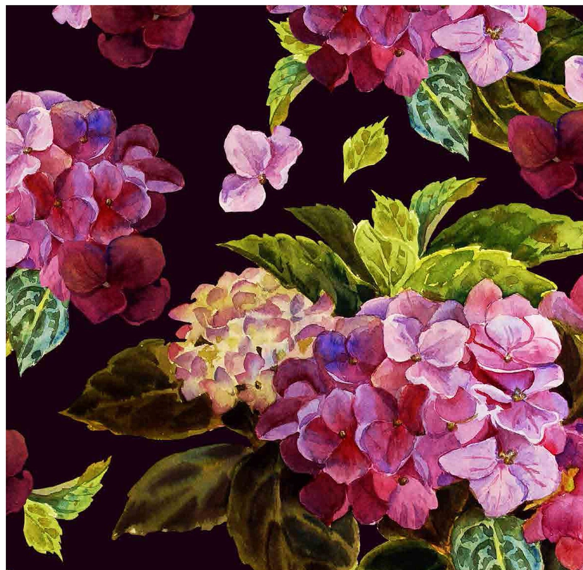 Purple Hortensia - Flowers - Floral Decoupage - Large Decoupage Paper for Furniture - Rice Paper for Decoupage - Black Background