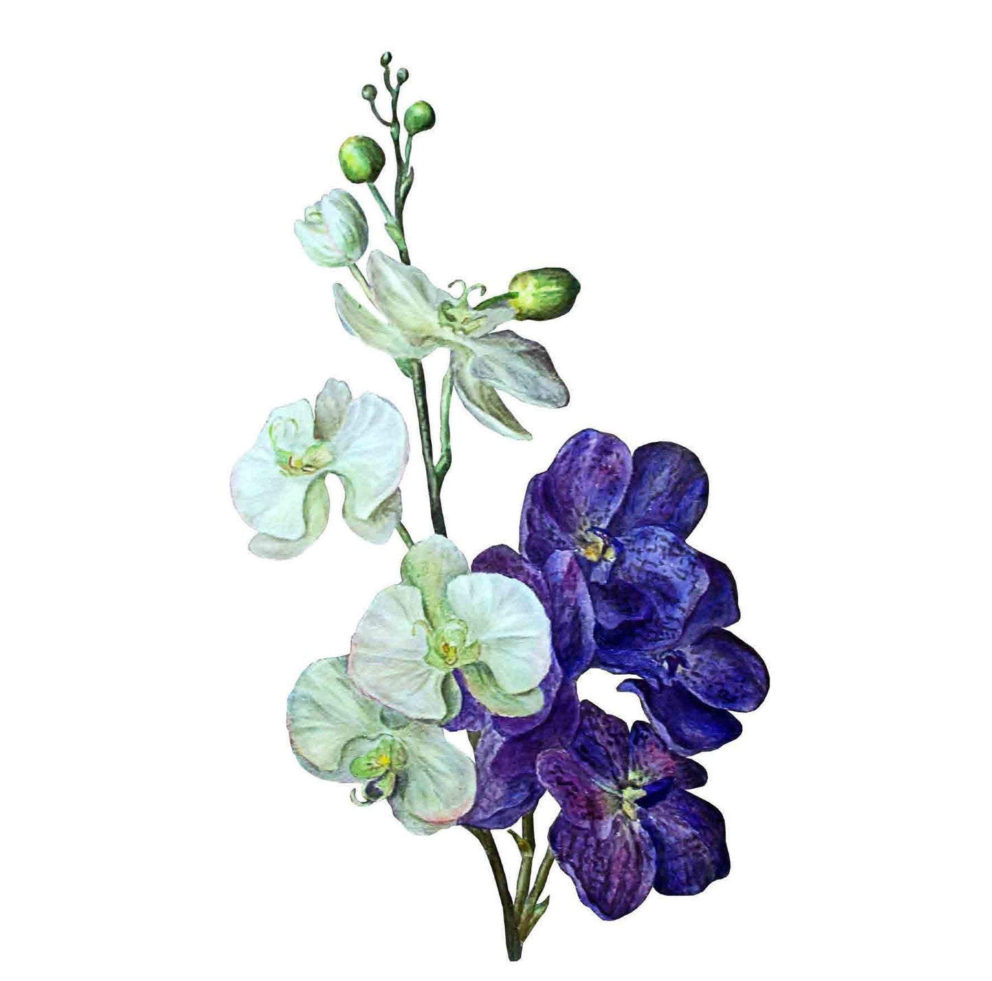 Delphinium Floral Decoupage Paper - Furniture Craft Rice Paper