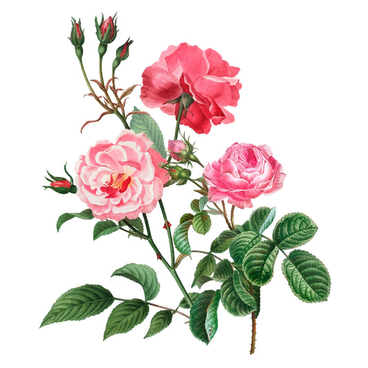 Roses - Flowers - Spring Themed - Large Decoupage Paper for Furniture - Floral Craft Paper - Wrapping Paper - Tissue Paper - Packing Paper