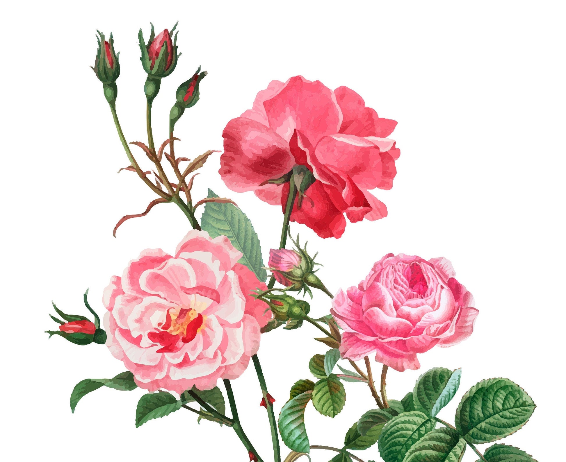 Roses - Flowers - Spring Themed - Large Decoupage Paper for Furniture - Floral Craft Paper - Wrapping Paper - Tissue Paper - Packing Paper