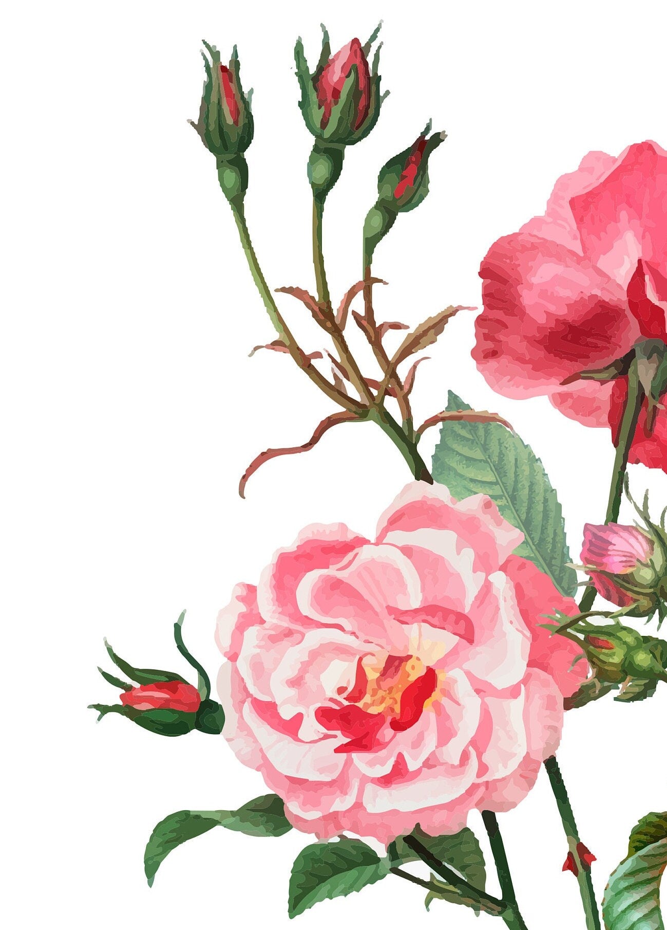 Roses - Flowers - Spring Themed - Large Decoupage Paper for Furniture - Floral Craft Paper - Wrapping Paper - Tissue Paper - Packing Paper