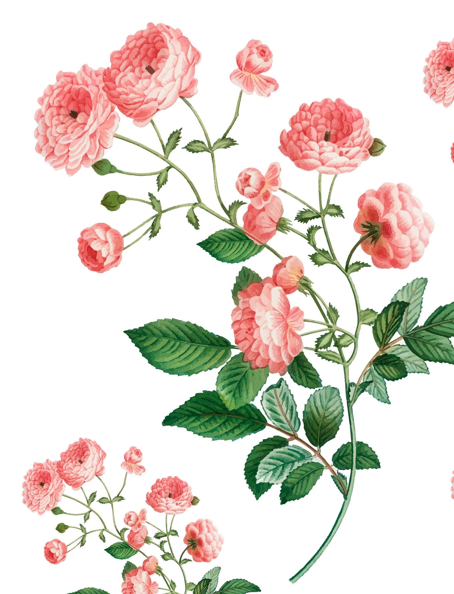 Roses - Flowers - Spring Themed - Large Decoupage Paper for Furniture - Floral Craft Paper - Wrapping Paper - Tissue Paper - Packing Paper