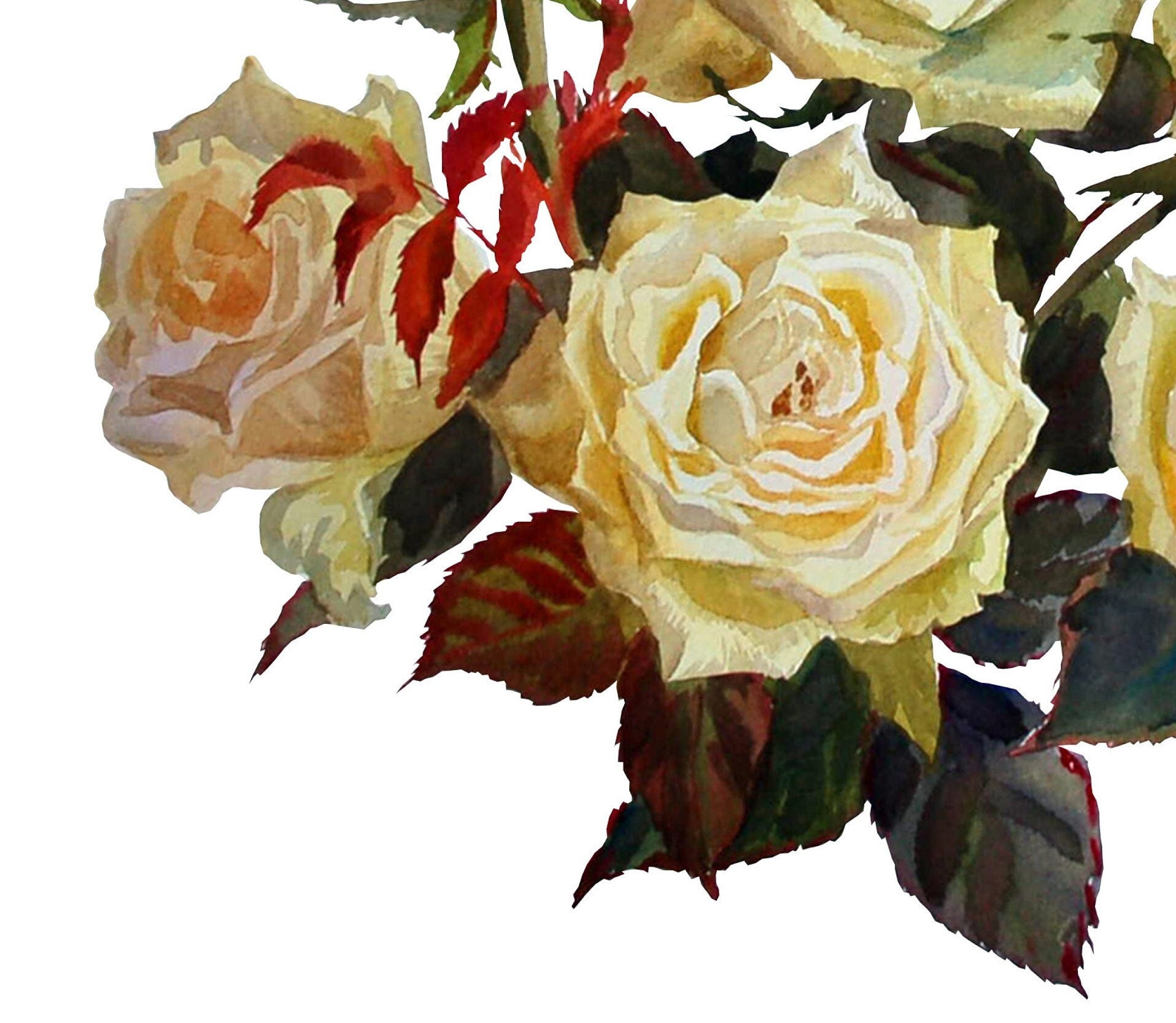 White Roses - Large Decoupage Paper for Furniture - Floral Craft Paper - Wrapping Paper - Tissue Paper - Printed Packing Paper