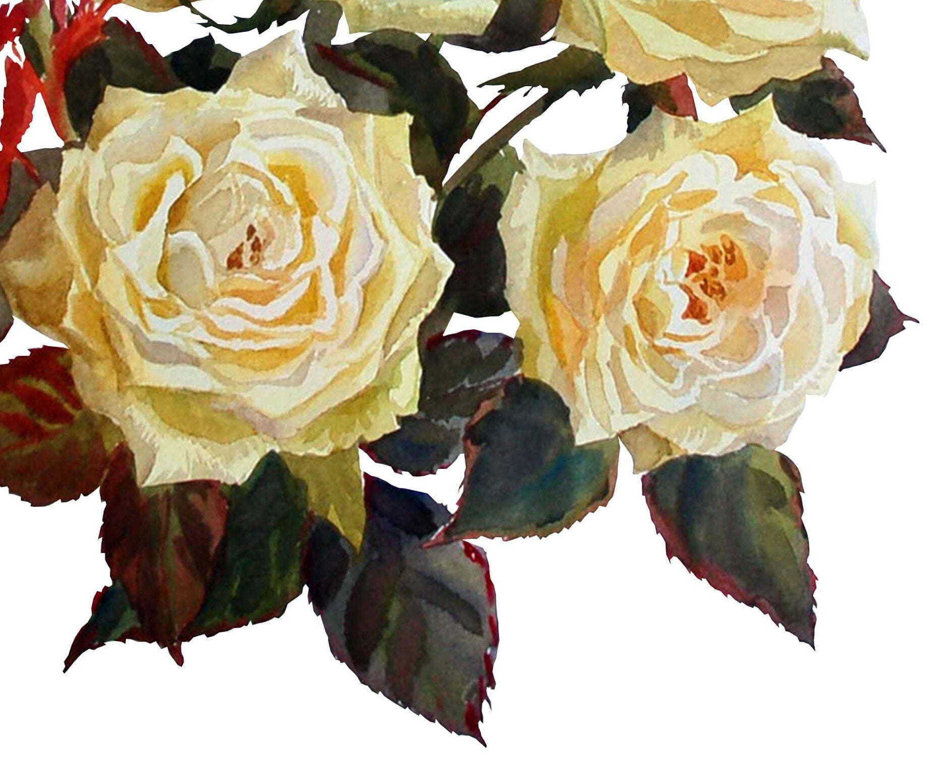 White Roses - Large Decoupage Paper for Furniture - Floral Craft Paper - Wrapping Paper - Tissue Paper - Printed Packing Paper