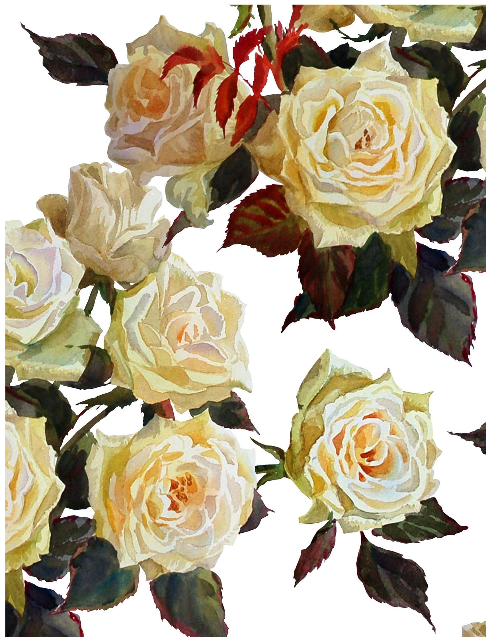 White Roses - Large Decoupage Paper for Furniture - Floral Craft Paper - Wrapping Paper - Tissue Paper - Printed Packing Paper