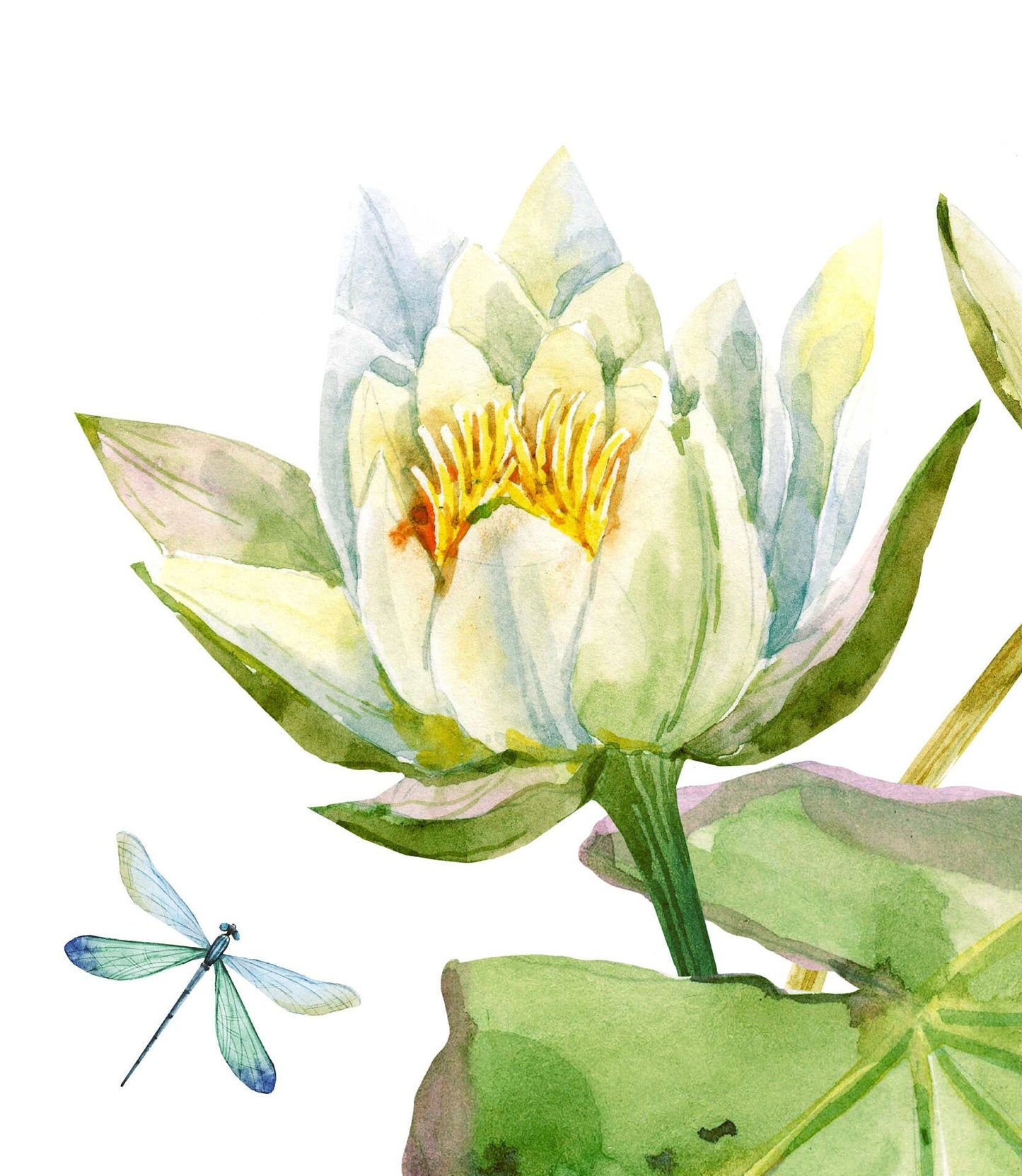 Water Lilly - Decoupage Paper for Furniture - Floral Craft Paper - Tissue Paper - Rice Paper Decoupage - Decoupage Paper Vintage