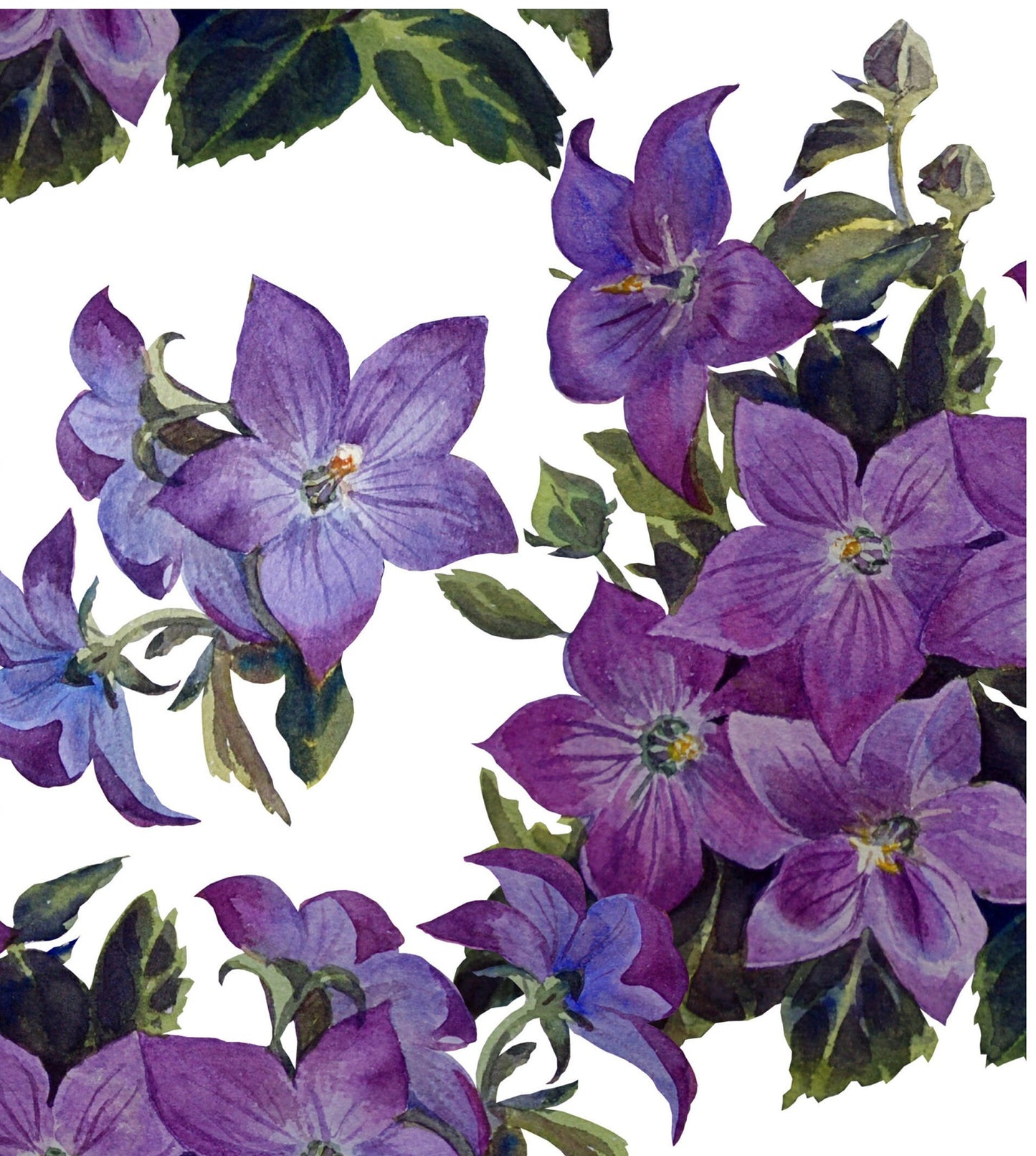 Purple Balloon Flower - Watercolor Flowers - Decoupage Paper for Furniture - Floral Craft Paper - Tissue Paper - Rice Paper Decoupage