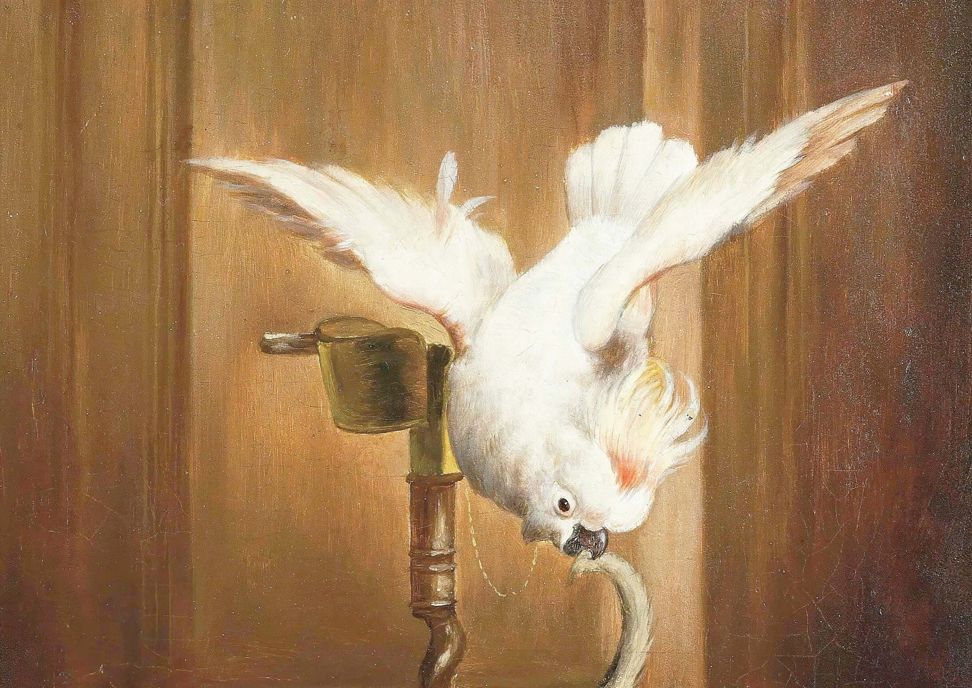Parrot and Puppies - Decoupage Paper for Furniture - Rice Paper - High Quality Decoupage [Pet Series]