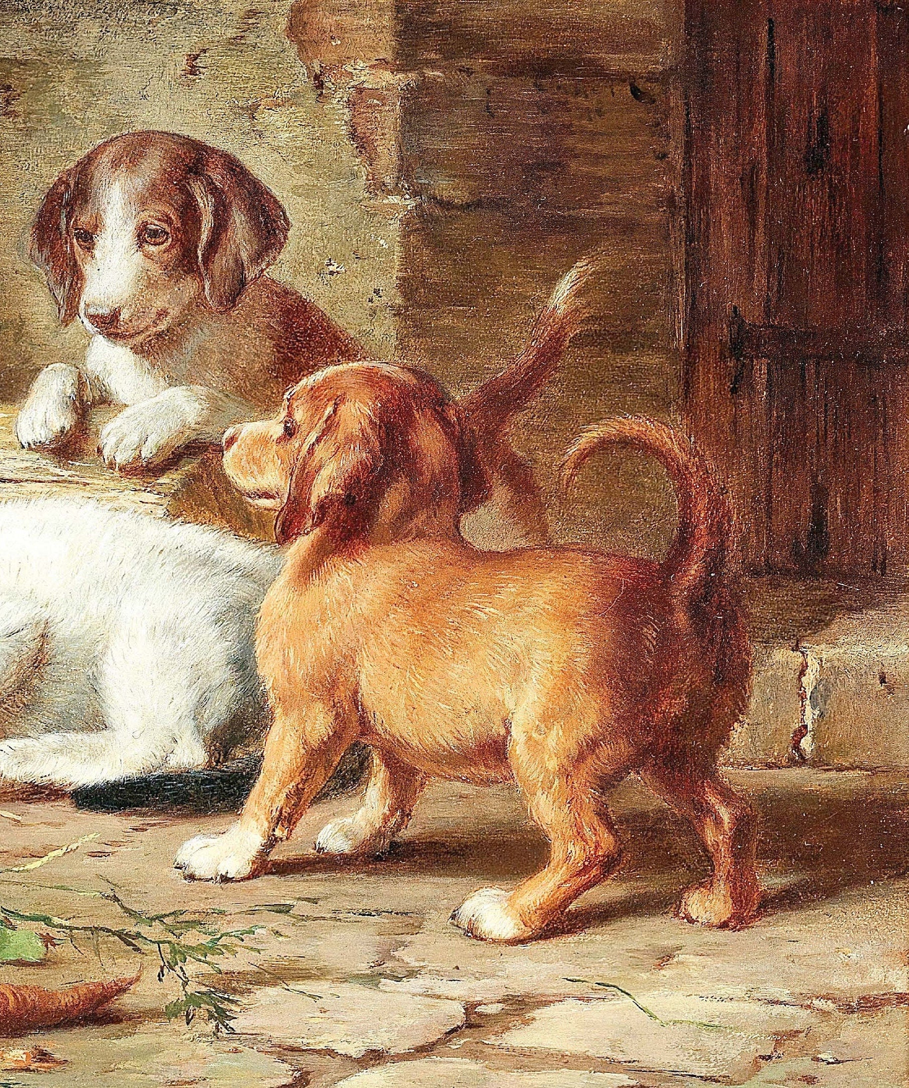 Kitten and Puppies - Decoupage Paper for Furniture - Rice Paper - High Quality Decoupage [Pet Series]