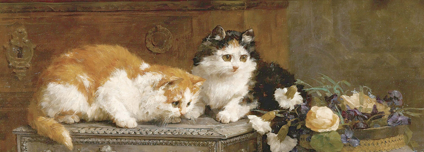 Kittens - Decoupage Paper for Furniture - Rice Paper - Large Decoupage [Pet Series]