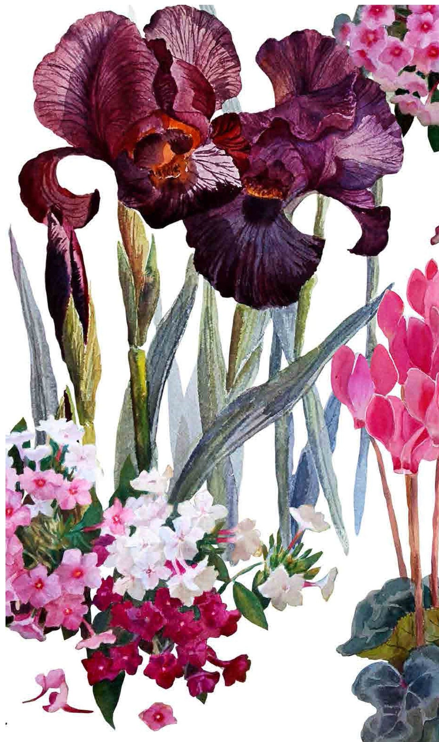 Red Antirrium - Flowers - Floral Decoupage - Large Decoupage Paper for Furniture - Rice Paper for Decoupage