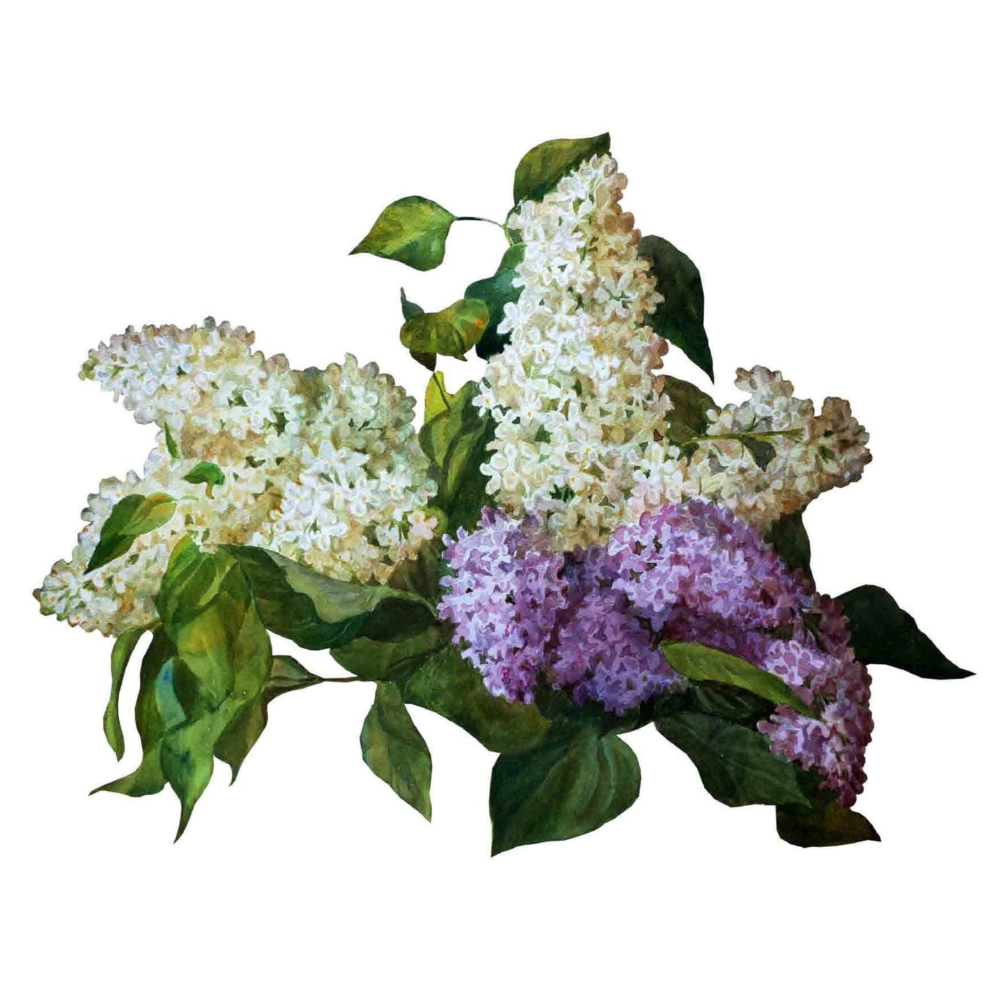 White Lilac - Flowers - Floral Decoupage - Large Decoupage Paper for Furniture - Rice Paper for Decoupage