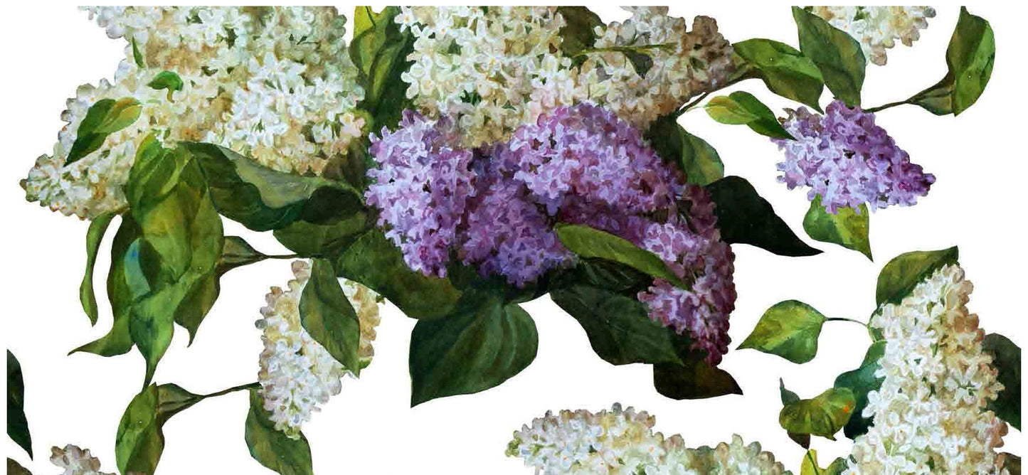 White and Purple Lilac - Oleaceae - Flowers - Floral Decoupage - Large Decoupage Paper for Furniture - Rice Paper for Decoupage