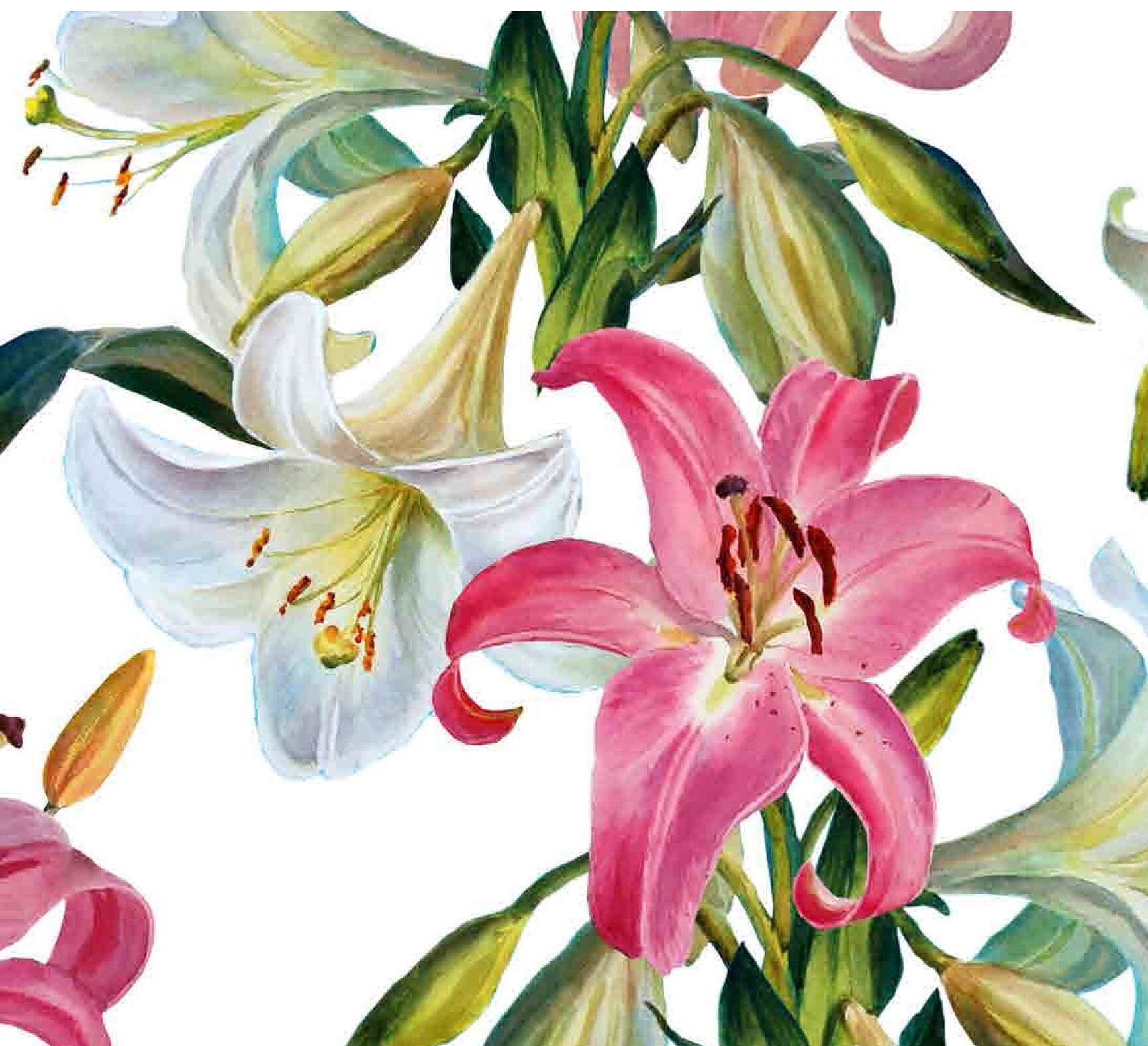 White Lily - Liliaceae - Flowers - Floral Decoupage - Large Decoupage Paper for Furniture - Rice Paper for Decoupage