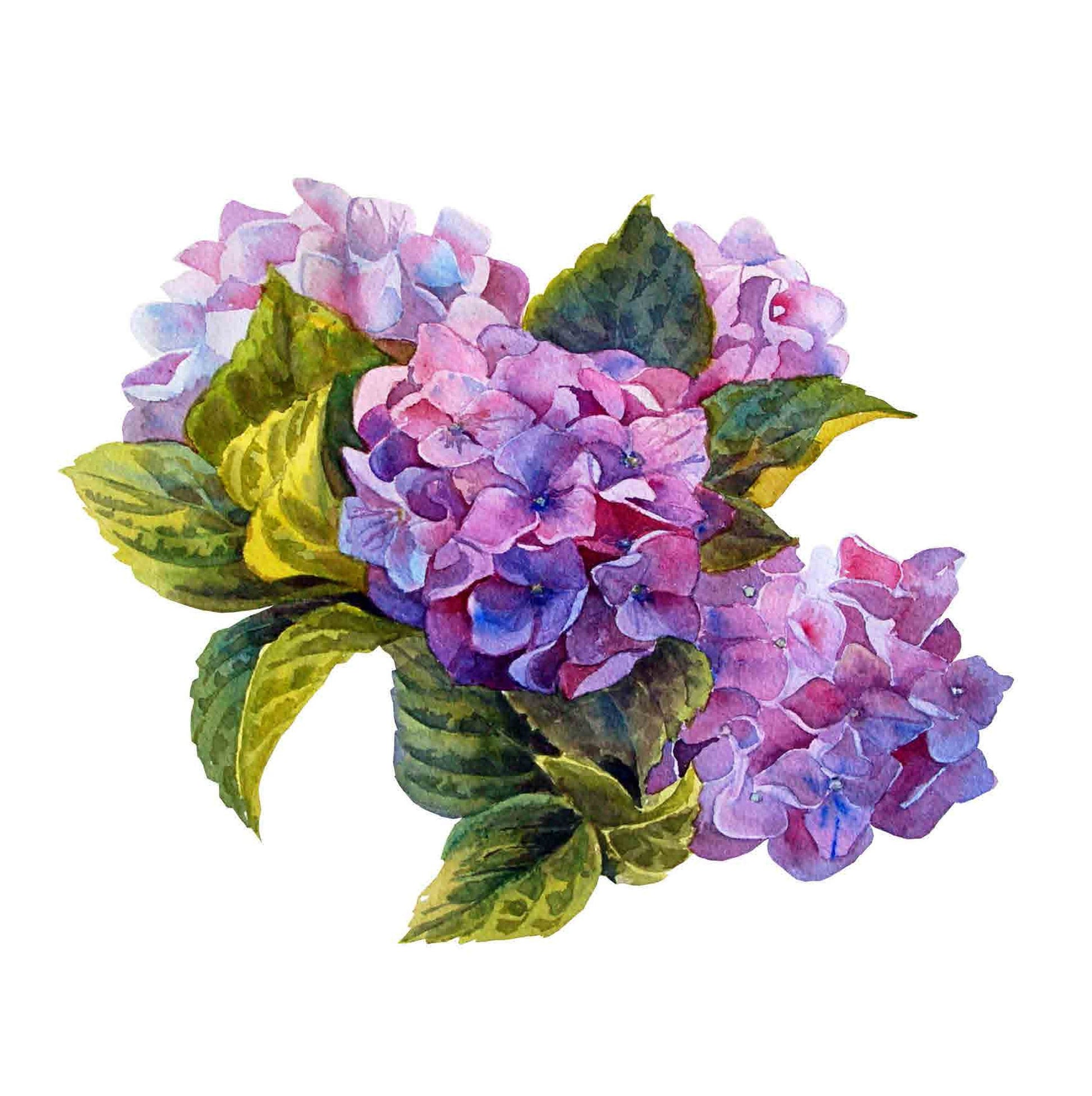 Purple Hortensia - Hydrangea - Flowers - Floral Decoupage - Large Decoupage Paper for Furniture - Rice Paper for Decoupage