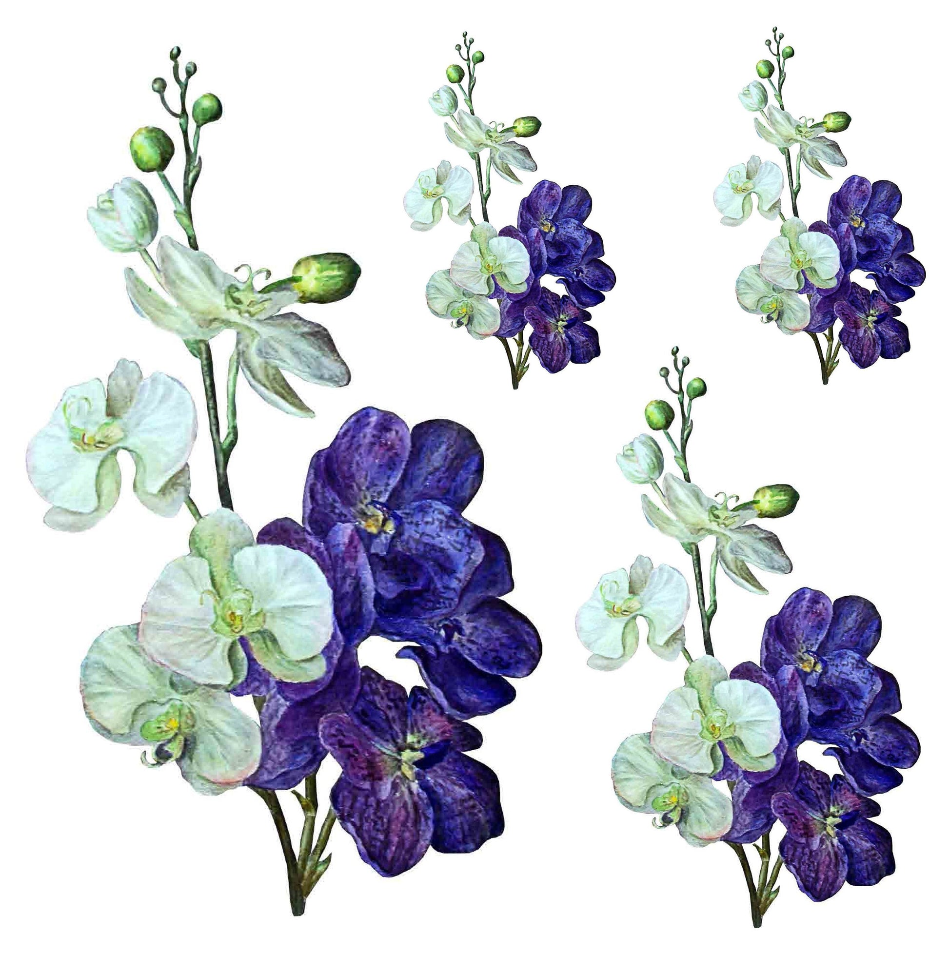 Delphinium - Ranunculaceae - Flowers - Floral Decoupage - Large Decoupage Paper for Furniture - Rice Paper for Decoupage