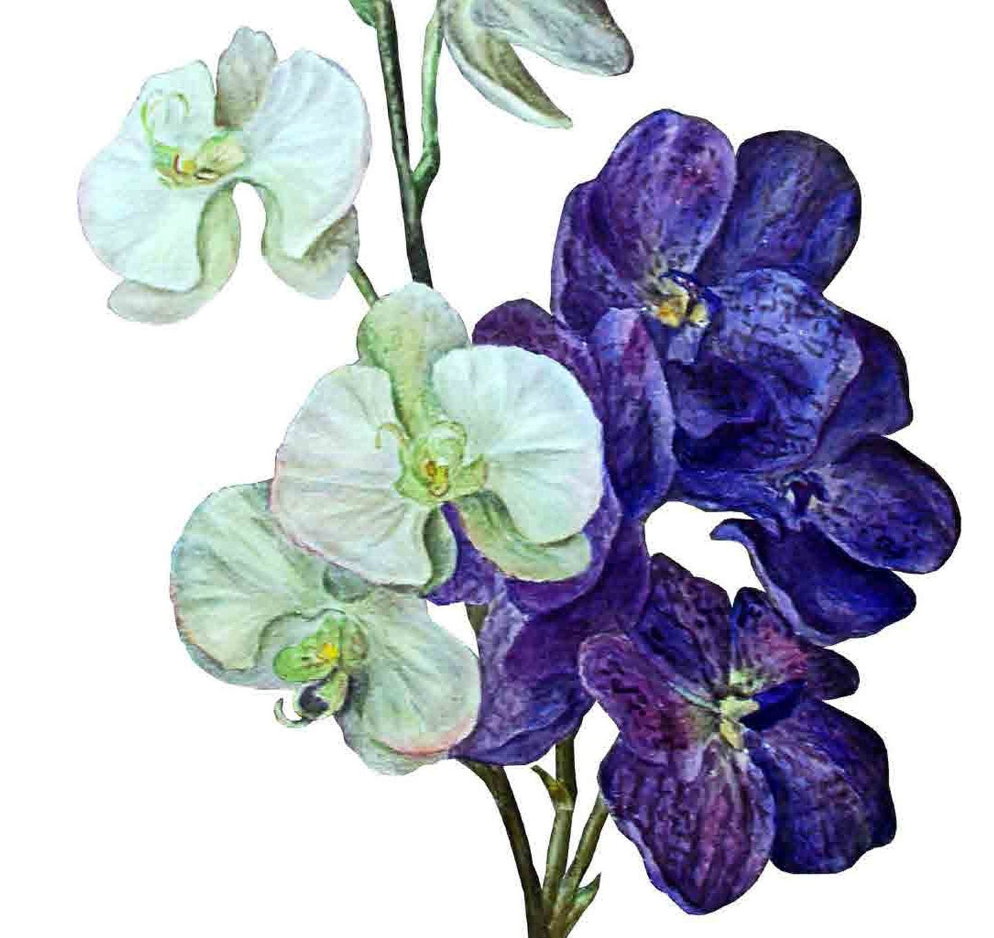 Delphinium Floral Decoupage Paper - Furniture Craft Rice Paper