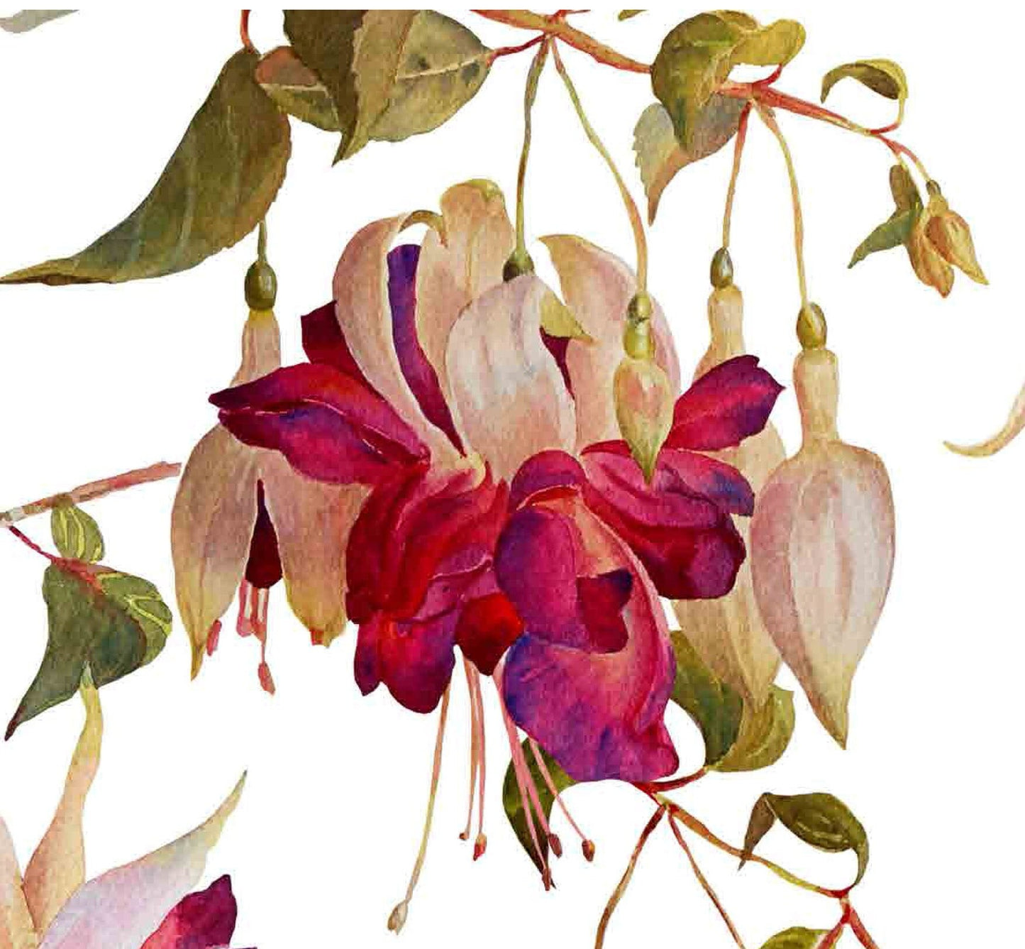 Fuchsia Hybrida - Flowers - Floral Decoupage - Large Decoupage Paper for Furniture - Rice Paper for Decoupage