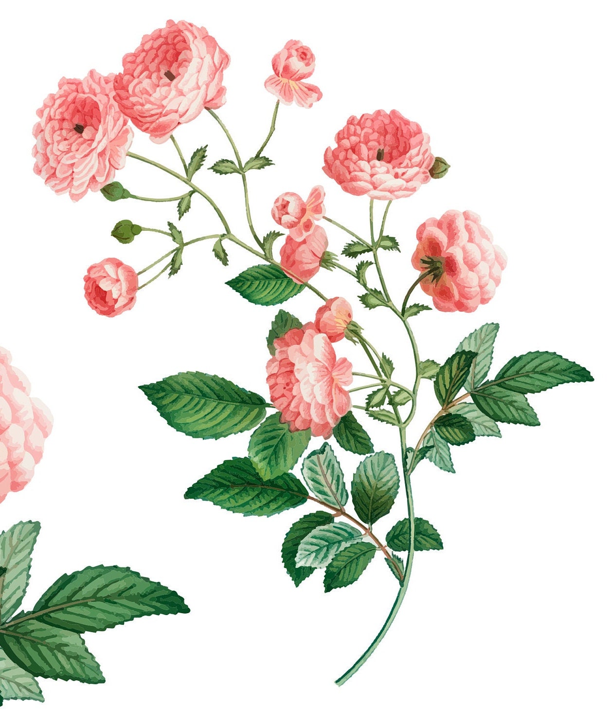 Roses - Flowers - Spring Themed - Large Decoupage Paper for Furniture - Floral Craft Paper - Wrapping Paper - Tissue Paper - Packing Paper
