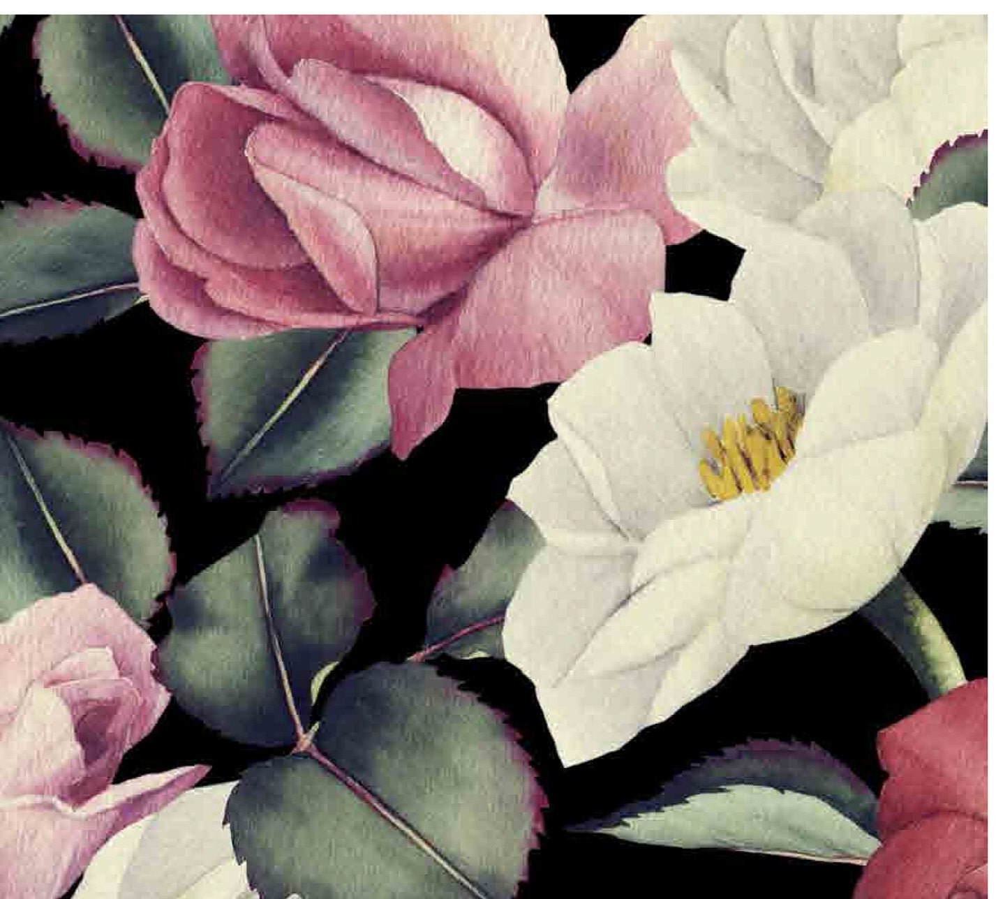 Roses Large Decoupage Paper for Furniture - Floral Craft Paper - Wrapping Paper - Tissue Paper - Printed Packing Paper - Black Background