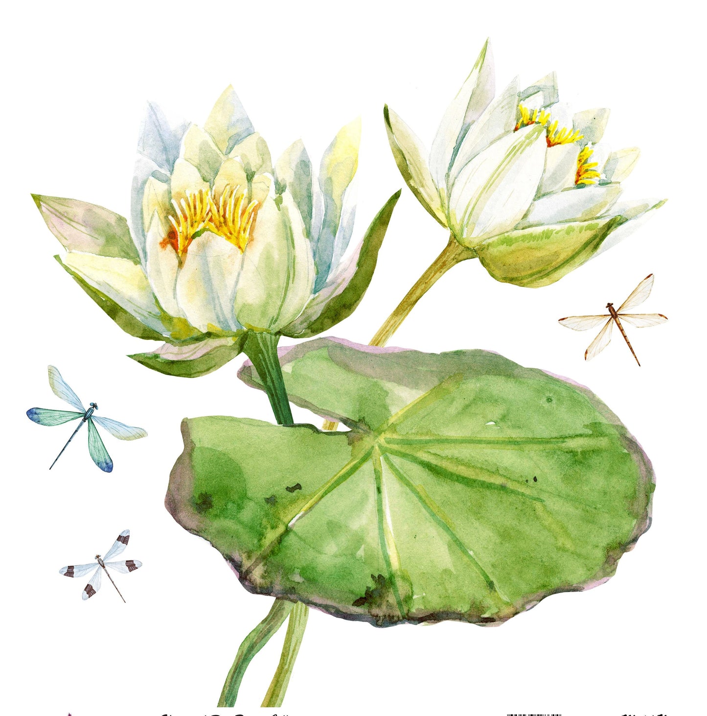 Water Lilly - Decoupage Paper for Furniture - Floral Craft Paper - Tissue Paper - Rice Paper Decoupage - Decoupage Paper Vintage