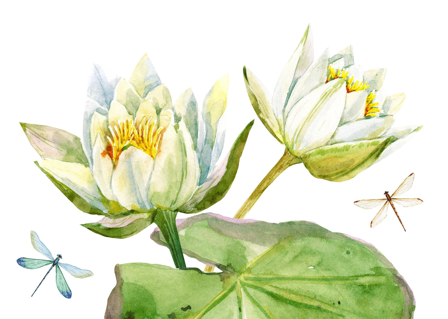 Water Lilly - Decoupage Paper for Furniture - Floral Craft Paper - Tissue Paper - Rice Paper Decoupage - Decoupage Paper Vintage