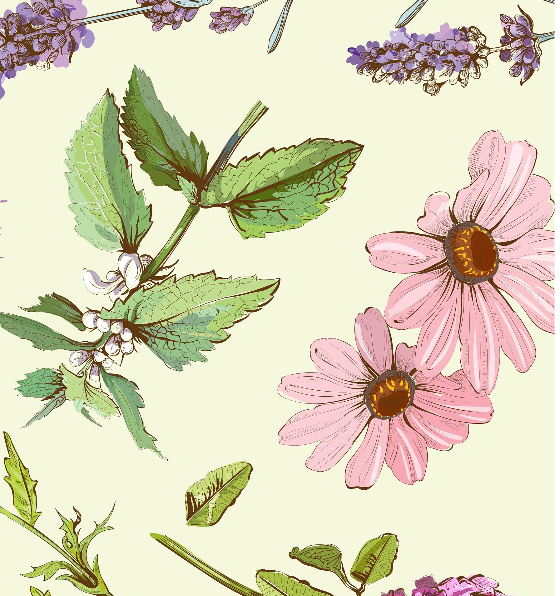 Decoupage Paper for Furniture - Rice Paper Decoupage - Large Decoupage Paper - Daisy Floral Decoupage - Green - Pink