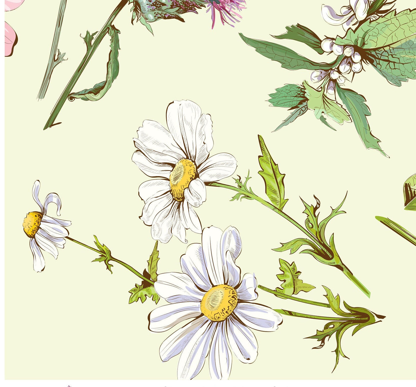 Decoupage Paper for Furniture - Rice Paper Decoupage - Large Decoupage Paper - Daisy Floral Decoupage - Green - Pink