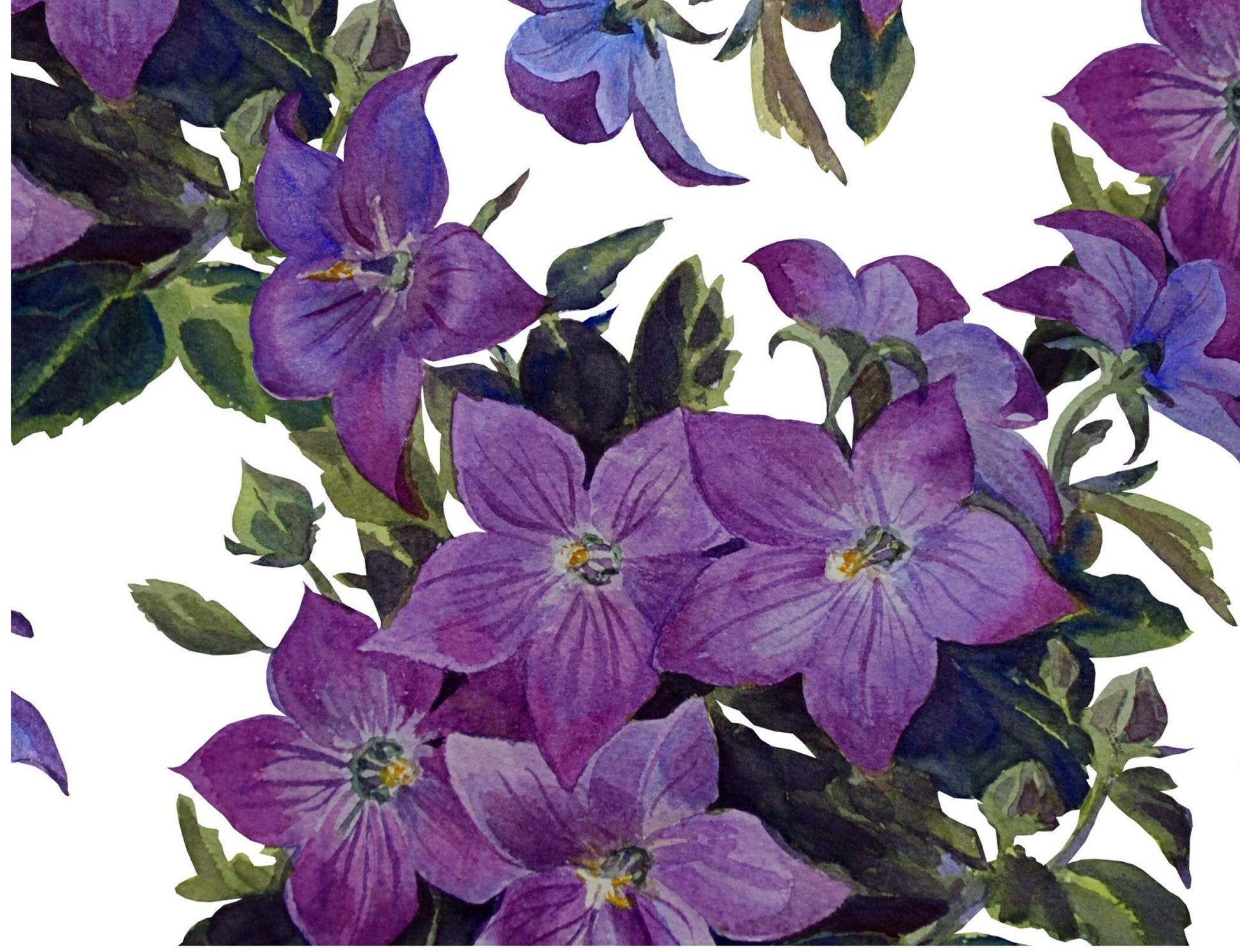 Purple Balloon Flower - Watercolor Flowers - Decoupage Paper for Furniture - Floral Craft Paper - Tissue Paper - Rice Paper Decoupage