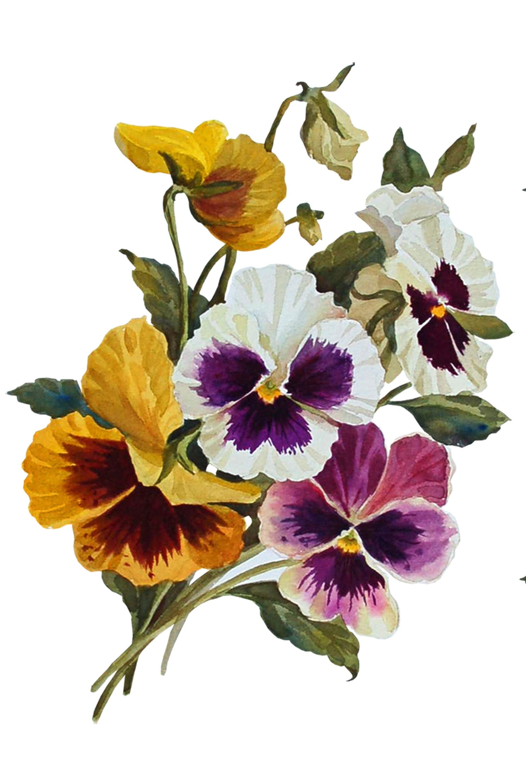 Colorful Violets - Floral Decoupage Paper for Furniture - Floral Craft Paper - Tissue Paper - Rice Paper Decoupage