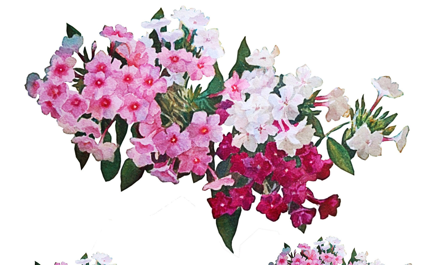 Floral Decoupage Paper for Furniture - Floral Craft Paper - Tissue Paper - Rice Paper Decoupage