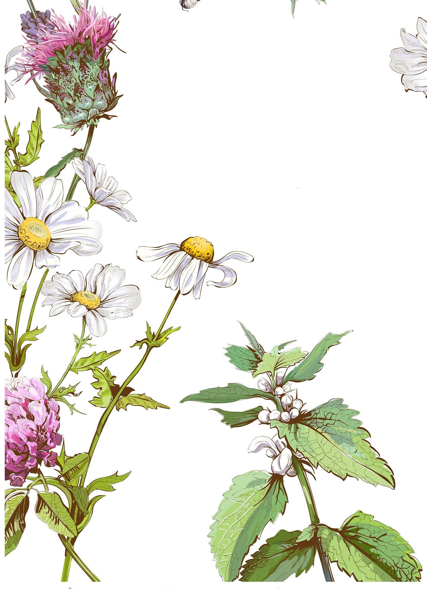 Decoupage Paper for Furniture - Rice Paper Decoupage - Large Decoupage Paper - Daisy Floral Decoupage