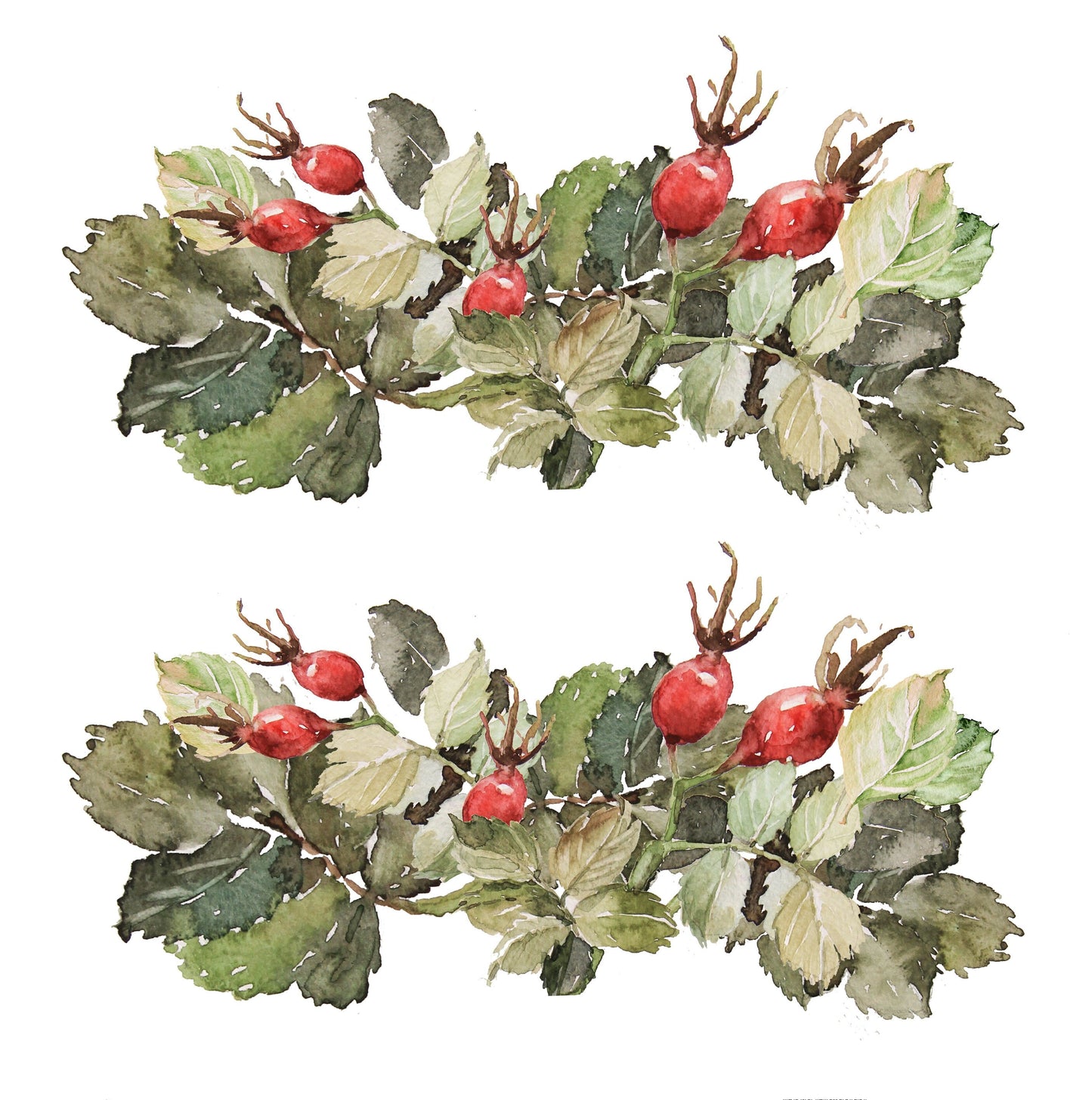 Decoupage Paper for Furniture - Rice Paper Decoupage - Large Decoupage Paper - Rosehib Herbal Kitchen Decoupage - Red Green