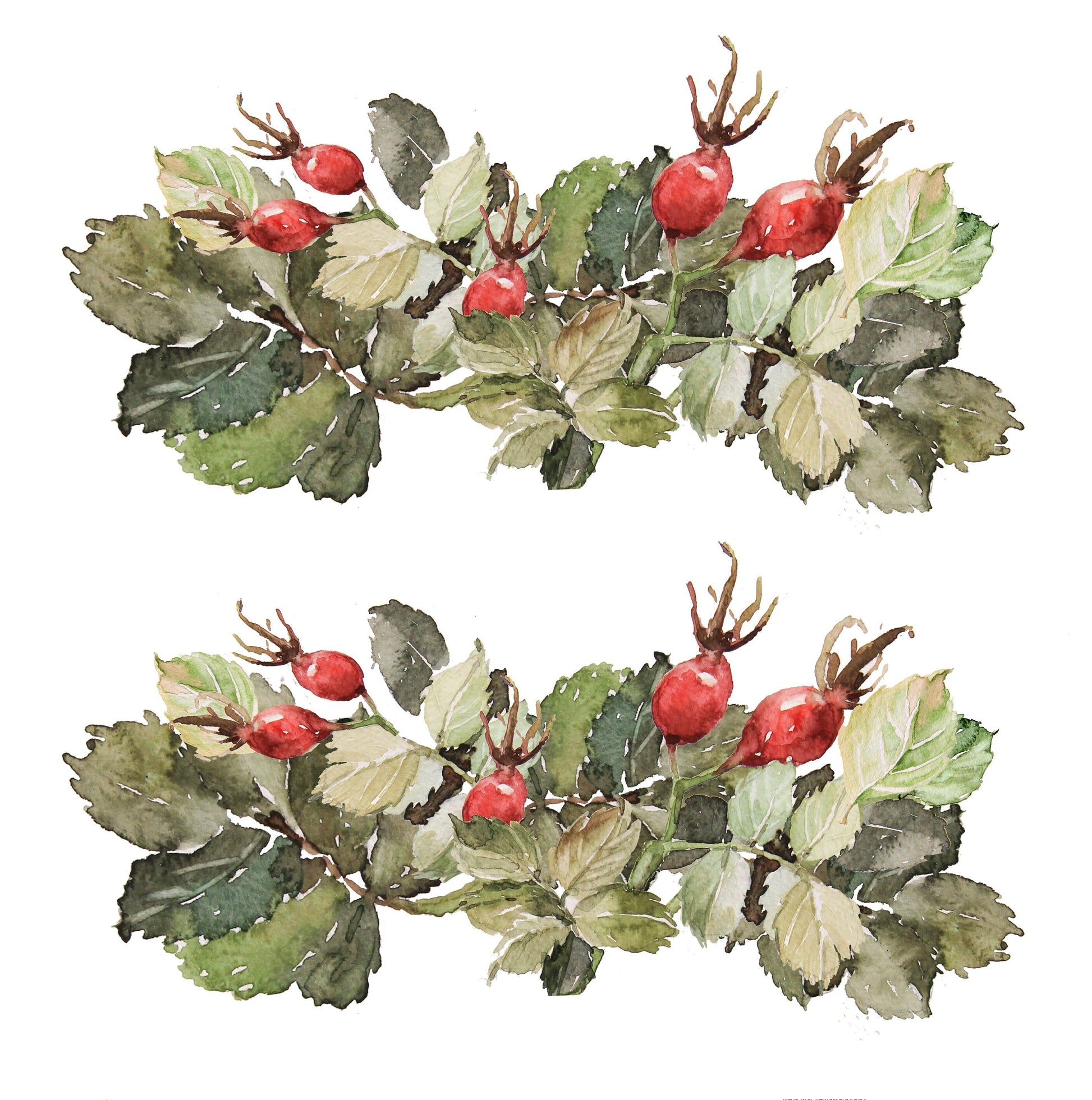 Decoupage Paper for Furniture - Rice Paper Decoupage - Large Decoupage Paper - Rosehib Herbal Kitchen Decoupage - Red Green