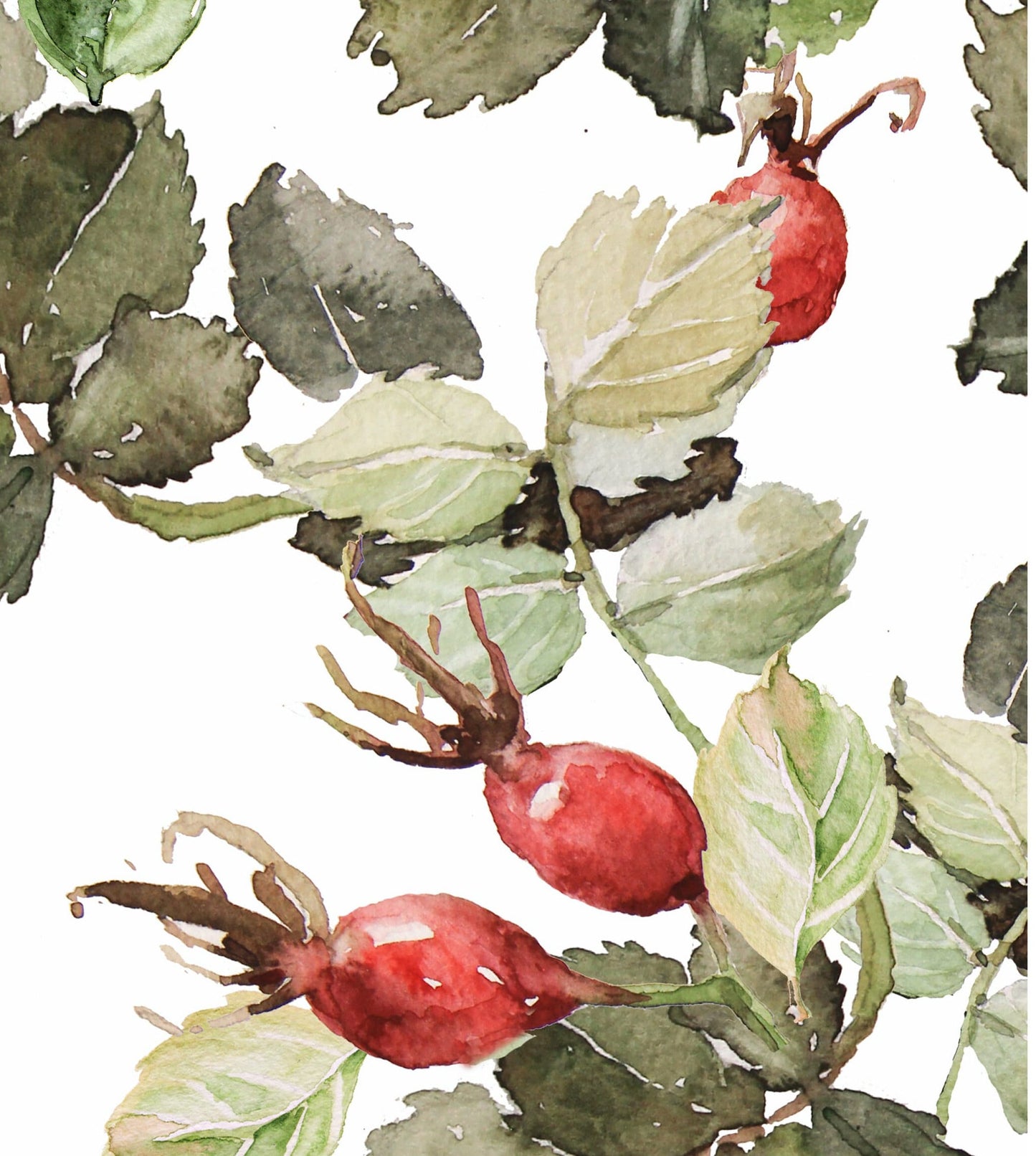 Decoupage Paper for Furniture - Rice Paper Decoupage - Large Decoupage Paper - Rosehib Herbal Kitchen Decoupage - Red Green