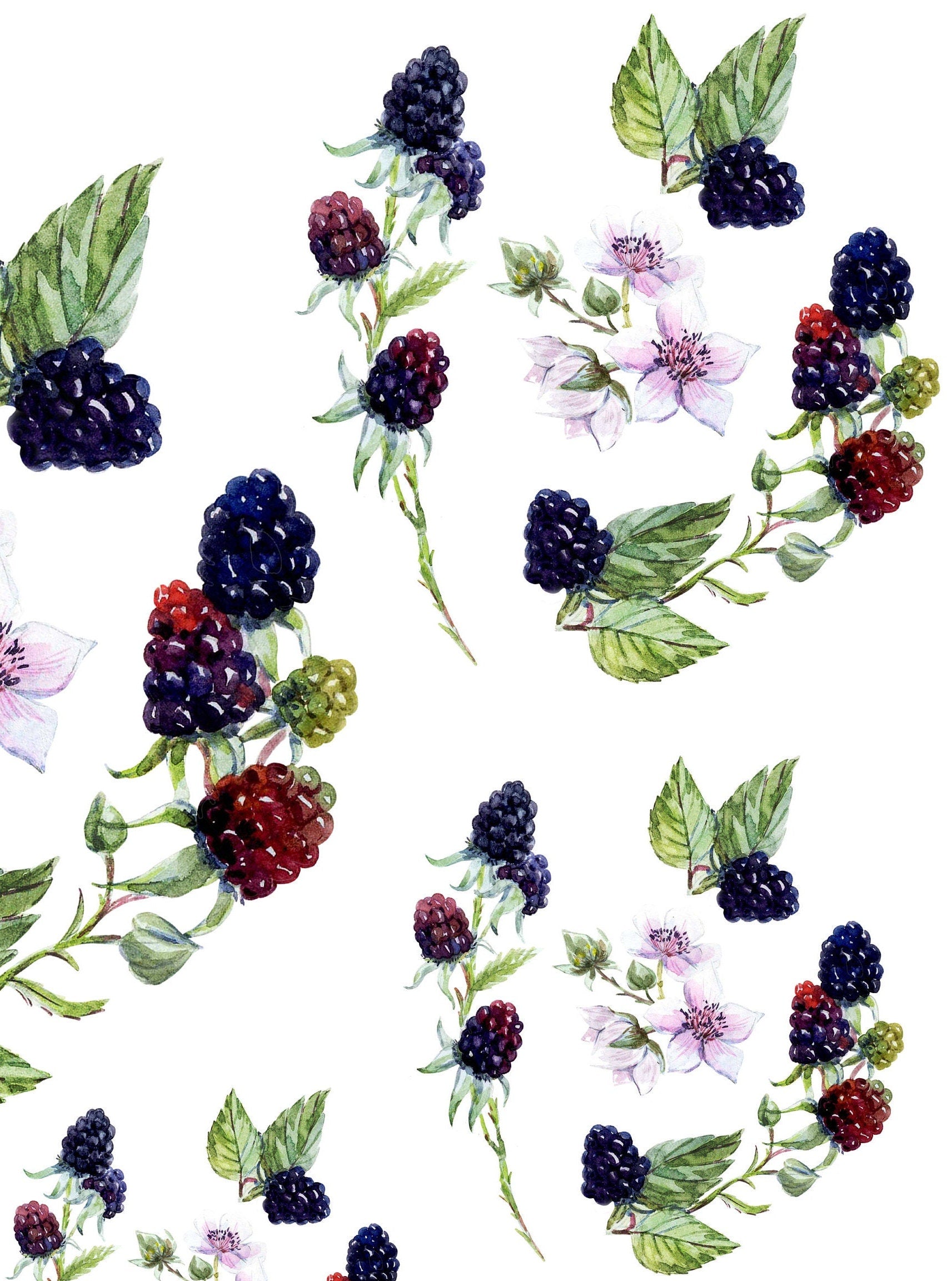 Decoupage Paper for Furniture - Rice Paper Decoupage - Large Decoupage Paper - Blackberry Decoupage - Red Green
