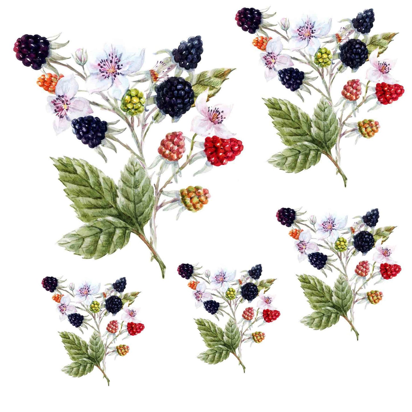 Decoupage Paper for Furniture - Rice Paper Decoupage - Large Decoupage Paper - Blackberry Decoupage - Red Green