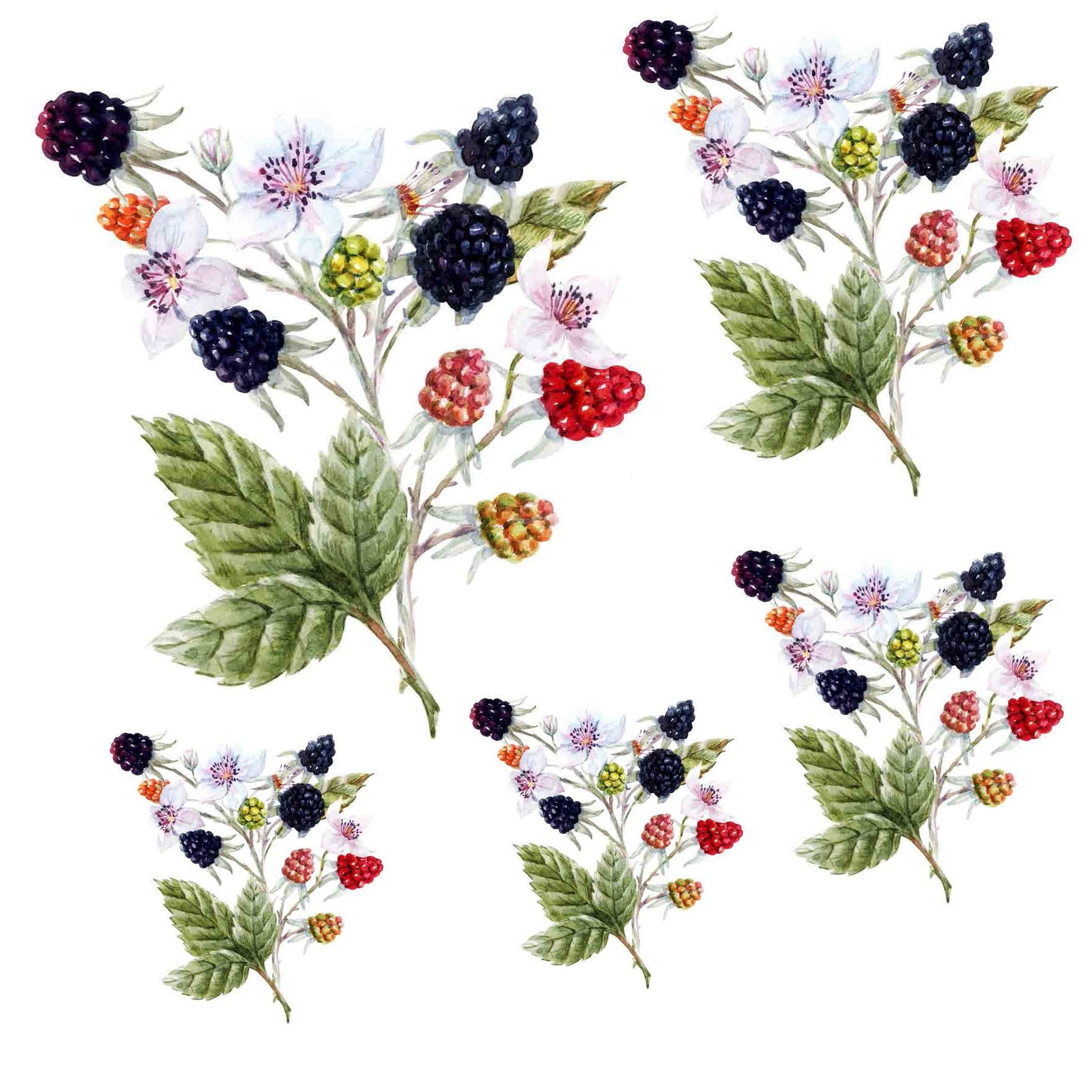 Decoupage Paper for Furniture - Rice Paper Decoupage - Large Decoupage Paper - Blackberry Decoupage - Red Green