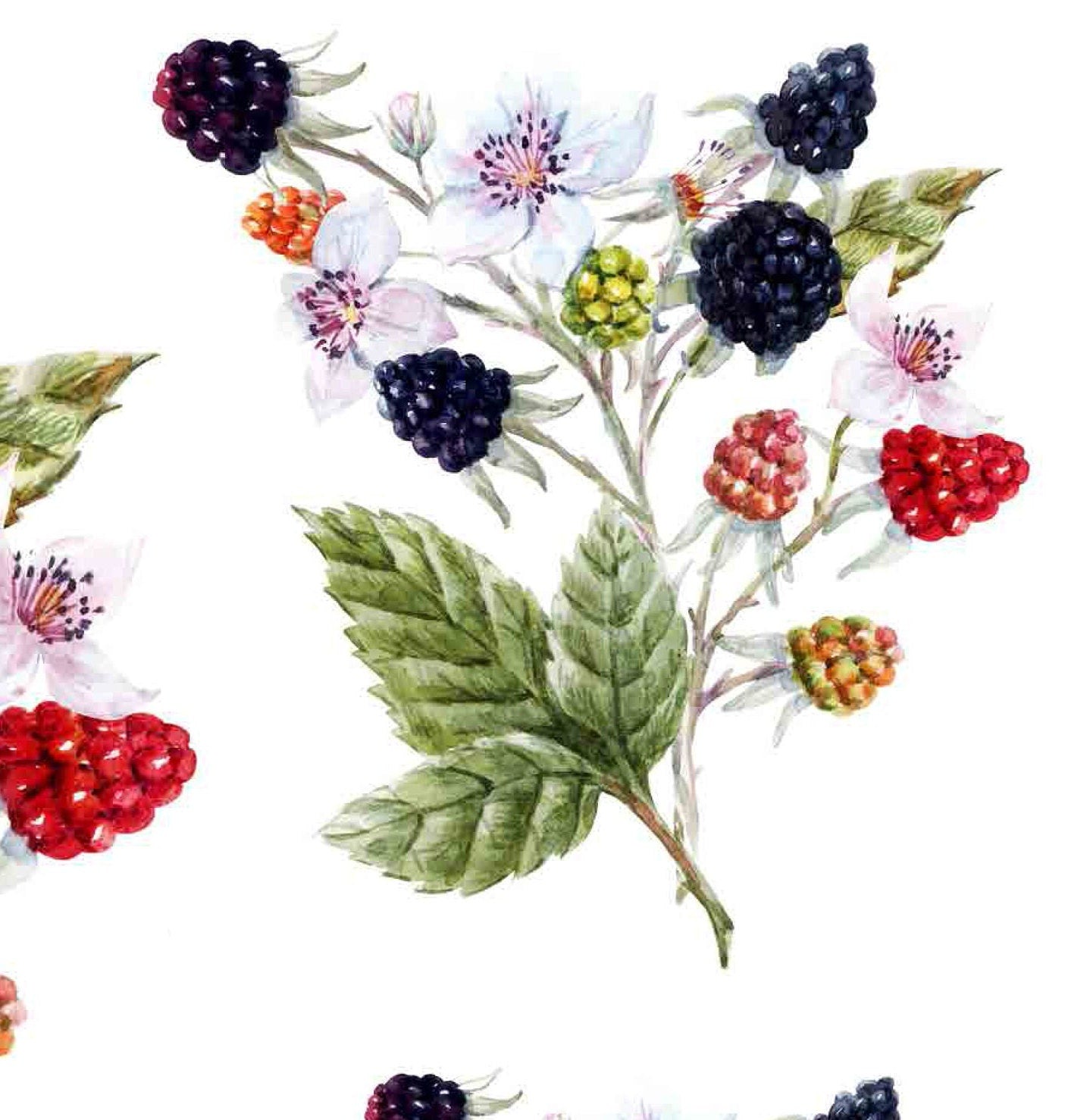Decoupage Paper for Furniture - Rice Paper Decoupage - Large Decoupage Paper - Blackberry Decoupage - Red Green
