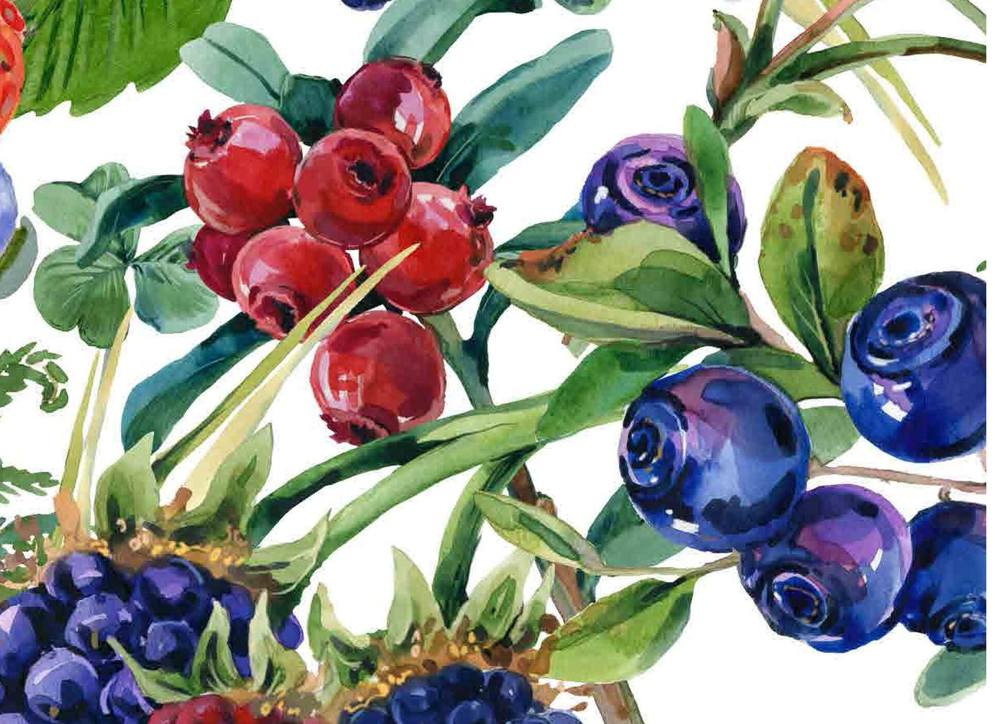 Decoupage Paper for Furniture - Rice Paper Decoupage - Large Decoupage Paper - Fruits Strawberry Blackberry Raspberry Decoupage